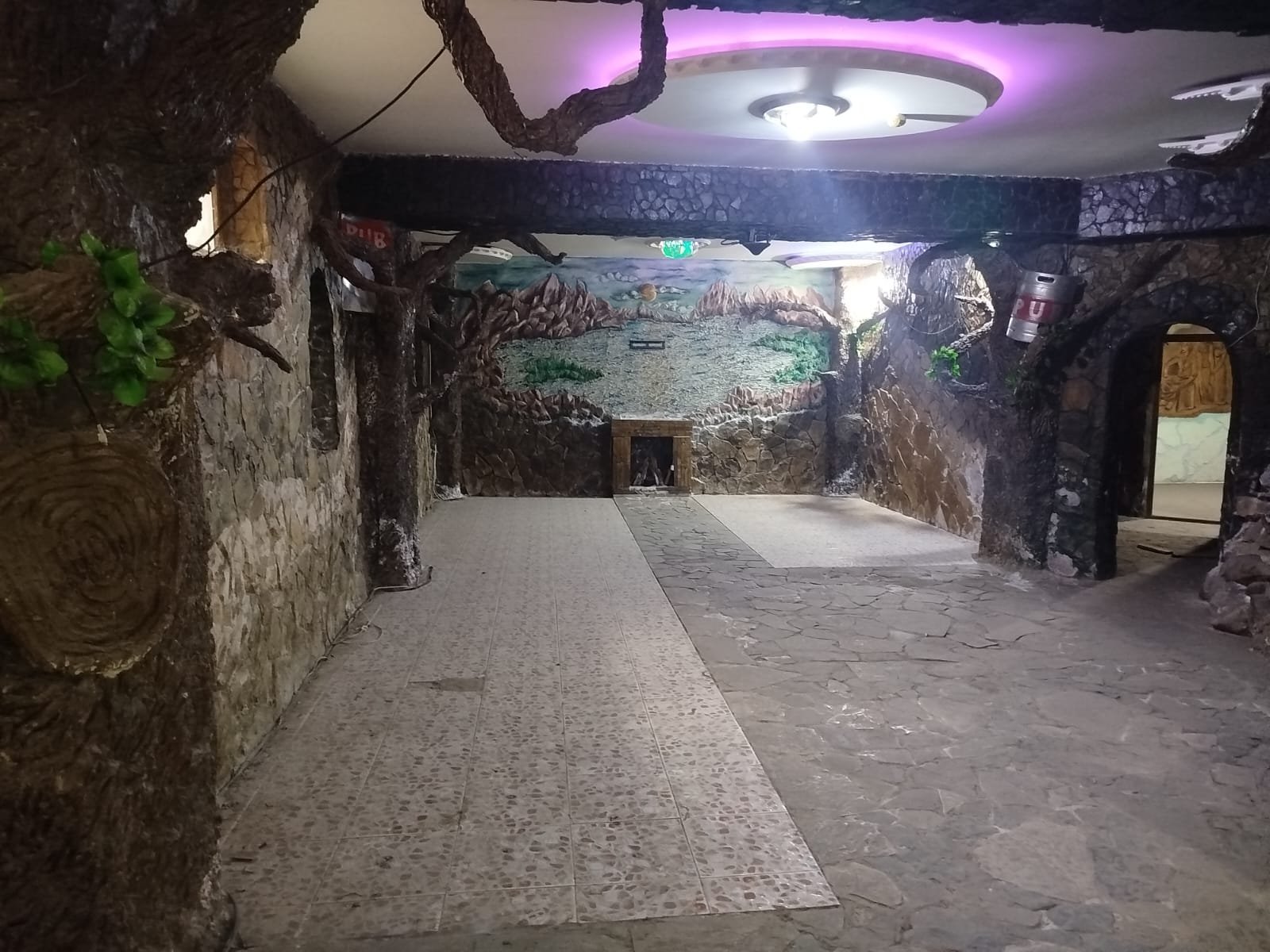 Qeyri-yaşayış sahəsi